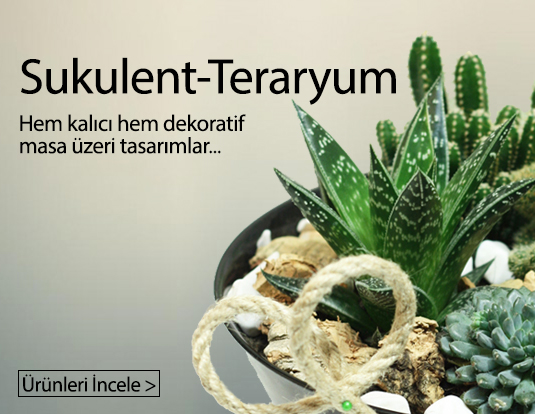 İzmir SOYAK SİESTA Teraryum Modelleri